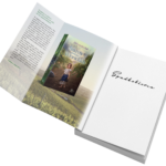 Aleksandra Rak, Szept Anioła, t.3. Spadkobierca