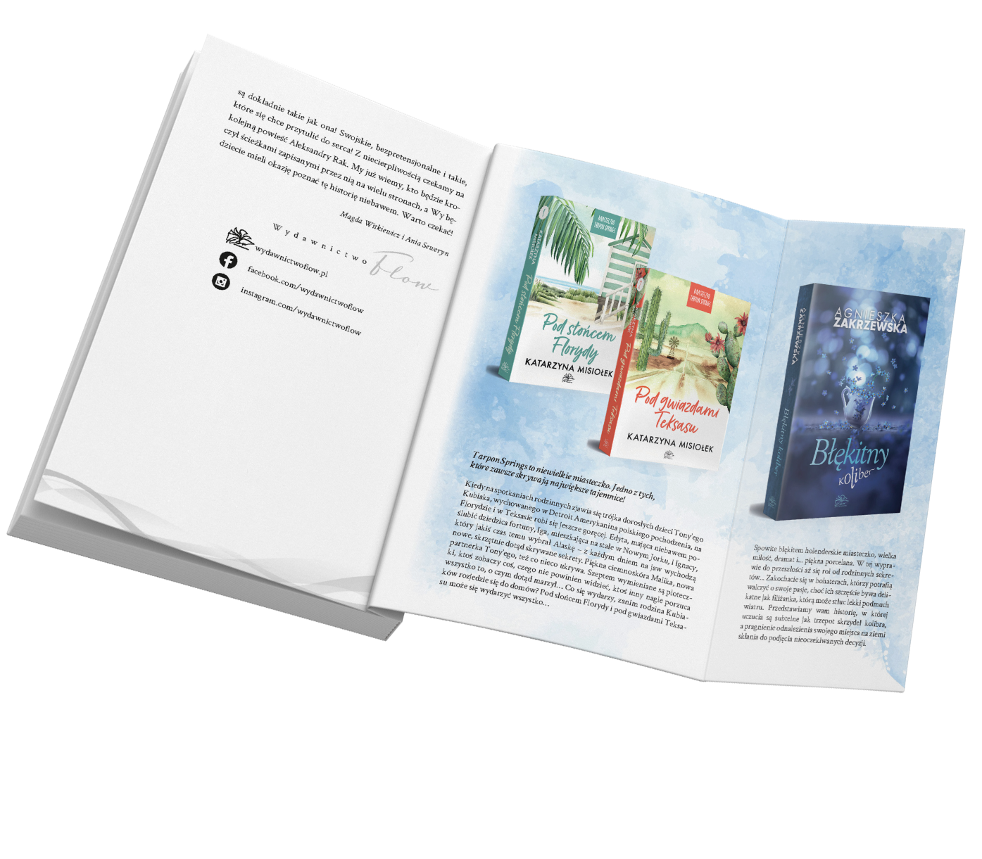 Aleksandra Rak, Szept Anioła, t.3. Spadkobierca