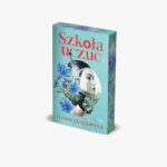Szkoła uczuć - Ilona Łepkowska