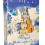 Sklepik w Chabrowym Zaułku - Magdalena Witkiewicz