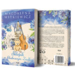 Sklepik w Chabrowym Zaułku - Magdalena Witkiewicz