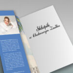Sklepik w Chabrowym Zaułku - Magdalena Witkiewicz